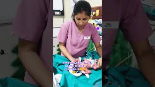 preterm baby k liye jaruri h nestyđźĄđź¤—đź‘¶đź’‰nicucaređź‘¶ newbornbaby viralshort đź‘Ťbaby babylove babylo [upl. by Pelpel650]