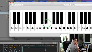 Transpose Audio in Ableton to Playback With A Keyboard Piano [upl. by Josselyn]