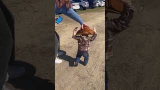 Cowboy Sam walks to the pumpkin patch msrachel songsforlittles toddlerlearningvideo [upl. by Parish]