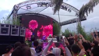 DJ BL3ND Tomorrowland 2013 [upl. by Foulk25]