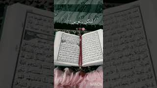 Peer Ajmal Raza Qadri bayan ❤islamic poetrywatsupstatus [upl. by Akisej]