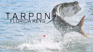 A FLORIDA KEYS TARPON FIISHING TRIP  Capt Brandon Simmons  GampT SERIES [upl. by Rebmac]