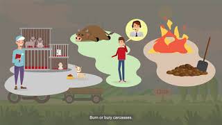 One Health Prevention of Zoonotic Diseases [upl. by Dominick]