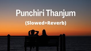 Punchiri Thanjum SlowedReverb Full song From Bicycle Thieves Malayalam filim [upl. by Adnorrahs582]