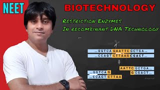 Restriction Enzymes in RDNA NEET 2021Biotechnologyclass 12th [upl. by Malkah]