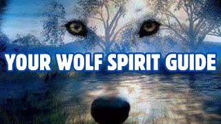 WOLF SPIRIT GUIDE 🐺 [upl. by Drarreg93]