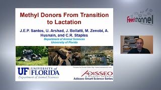 Dr Jose Santos  Methyl donors from transition to lactation [upl. by Ahusoj]