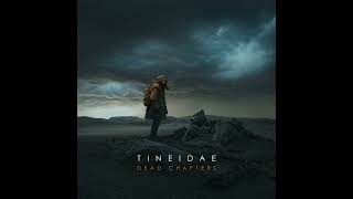 Tineidae  Dead Chapters 2024 Full Album [upl. by Aihtebat39]