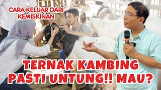 Manajemen Kambing 72 Bulan Jadi Milyarder [upl. by Kieffer]