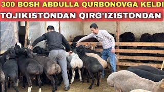 ABDULLA QURBONOV AKAMIZ QAYTDI NARXLARNI TUSHURDI [upl. by Ardnael380]