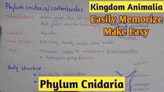 Phylum Cnidaria Characters And Classification Explain In Hindi Urdu [upl. by Novert655]