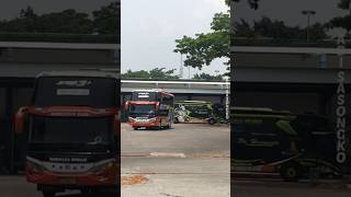 Rosin dan HR masuk barengan‼️ rosaliaindah poharyanto jetbus adiputro busakap shorts [upl. by Roberson]