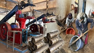 How Biomass Briquettes Are Made In Factory How To Make Biomass Briquettes [upl. by Euqinobe]