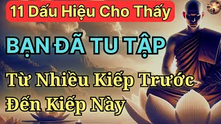 11 Dấu Hiệu Cho Thấy Bạn Đã Tu Tập Tích Luỹ Phúc Đức Từ Nhiều Kiếp Trước Đến Kiếp Này [upl. by Eoin]