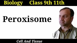 Peroxisome  Structure and functions of Peroxisome  Cell organelles  Class 9 and 11 [upl. by Cooley]