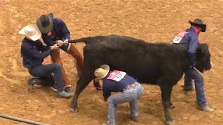 Wild Cow Milking  2018 WRCA World Championship Ranch Rodeo [upl. by Eustache]