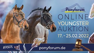 HERZALLERLIEBST JK Hengst 2019 v Herzkönig NRW  Casino Royale K WE [upl. by Eseilanna]