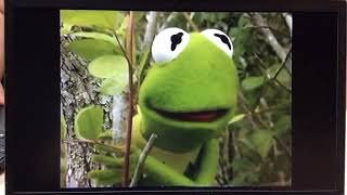 Kermit’s Swamp Years VHS And DVD Teaser Trailer With Now Available On Home Video Bumpers [upl. by Servetnick]