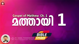 Gospel of Mathew Ch 1 Bible Study Fr Daniel Poovannathil [upl. by Fattal]