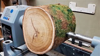 Woodturning  Youve Got to Love a Laburnum Log [upl. by Cuyler]