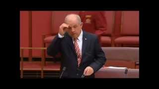 CommBank CBA quotcriminal behaviourquot  Aust Senate discussion [upl. by Ennagem]