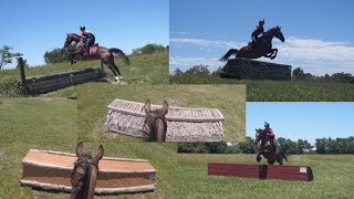 CROSS COUNTRY SCHOOLING MY NEW HORSE [upl. by Kuhlman]