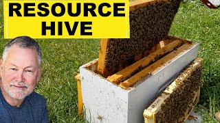 Beekeeping How To Use A Resource Hive [upl. by Gerstein]