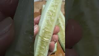 ASMR CUCUMBER PEELING SLICING🥒 amazingsounds peeling slicing cucumber satisfying viralshorts [upl. by Sakhuja857]