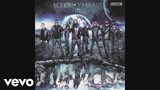 Sexion dAssaut  Problèmes dadultes Audio officiel [upl. by Gaye197]