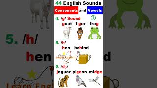 44 English Sounds 1  Consonants and Vowels [upl. by Linnette]