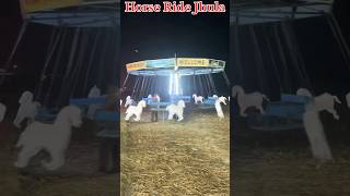 Horse Ride Jhula  घोड़ा झूला viralvideo shortvideo BMW [upl. by Stanislaw]