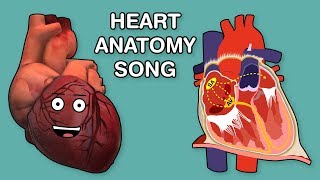 HEART ANATOMY SONG [upl. by Monafo]