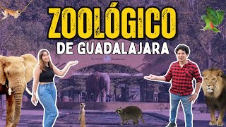 Zoológico de Guadalajara ¿Vale la pena [upl. by Witherspoon]