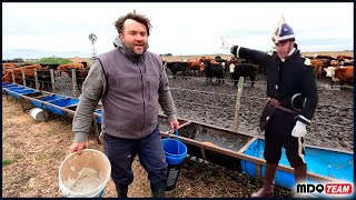 TRABAJOS MUY CAMPEROS Y ESCUELITA DE CAMPO CON SAN MARTIN [upl. by Asilahs]