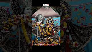 like share subscribe trending shorts shortsvideo radhekrishna radhekrishna kishori [upl. by Ahsiele755]