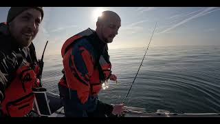 sea fishing around Northumberland for cod and pollock [upl. by Gussy]