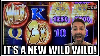 😍 Its a Brand New WILD WILD SLOT 😍 and OF COURSE I won big [upl. by Lebasiram]