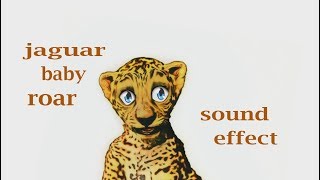 How a Baby Jaguar Roar Sound  Sound Effect  Animation [upl. by Litha]