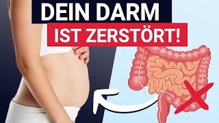 Diese 5 Symptome zeigen dass deine Darmflora zerstört ist [upl. by Kennet]