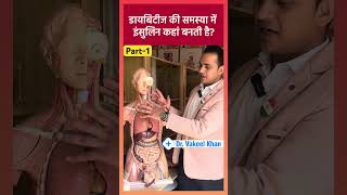 Diabetes  Pancreas में insulin कैसे बनती है shorts viral diabetes [upl. by Vena]