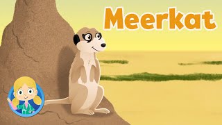 Meerkats At The Safari  Learn About Safari Animals  Animal Videos For Kids  Cartoon amp Kids Songs [upl. by Notnroht447]