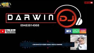 SINULOG NOSTOP REMIX 2020 DJ DARWIN DANAO [upl. by Nhguahs]