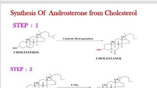 STRUCTURE ELUCIDATION OF ANDROSTERONEANDROSTERONE [upl. by Stilu278]