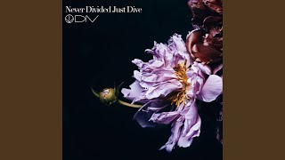 Never Divided Just Dive [upl. by Schnapp]