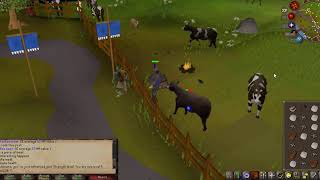 playing OSRS while your parents argue in the other room ASMR nostalgia [upl. by Aneladdam]