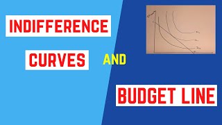 CAPE Economics Consumer Equilibrium Indifference Curve and Budget Line [upl. by Nylodam]