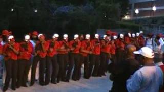 Delta Sigma Theta Lambda Psi 2010 Probate Part 5 [upl. by Ammeg]