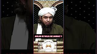 AULAAD KI WAJA SE JANNAT  Engineer Muhammad Ali mirza [upl. by Orthman347]