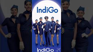 IndiGo Airlines Officer Security Jobs 2024  12th Pass Hiring  IndiGo Female Hiring shorts [upl. by Akino]