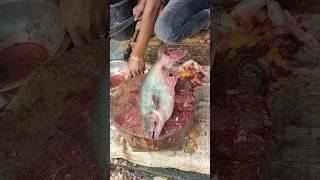 Super Fast Pangas Cutting Skills  How To Cut Pangas Fish 😱 shorts [upl. by Eidok292]